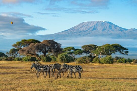 Il turismo è tra i temi principali del Business Forum Italia-Kenya a Roma